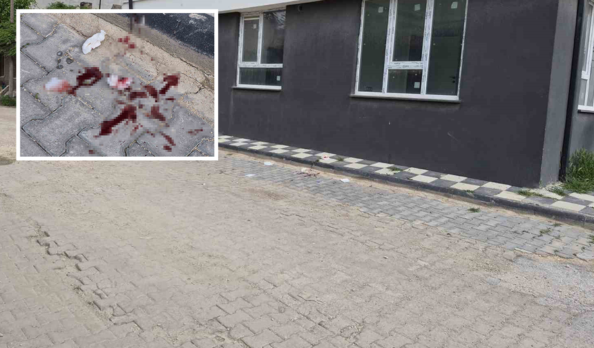 Eskişehir'de 16 Yaşındaki Çocuk Sokak Ortasında Bıçaklandı!