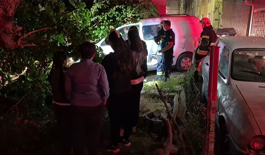 Eskişehir’de Dut Ağacı Araçların Üzerine Devrildi