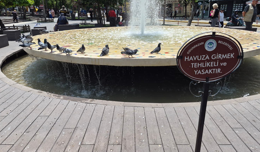 Eskişehir’de Güvercinlerin Havuz Keyfi Görenleri Gülümsetti!