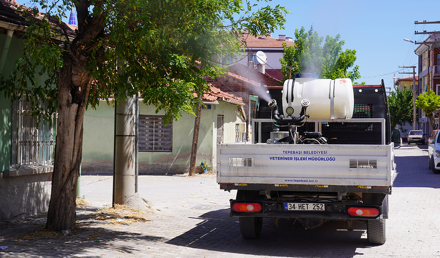 Eskişehir'de Uçkun Zararlılar İçin Ekipler Harekete Geçti!