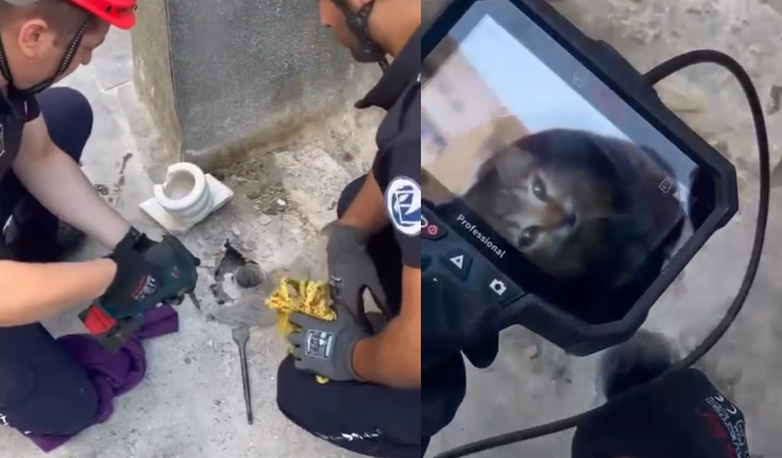 Eskişehir’de Gider Borusuna Düşen Minik Kedi İçin Ekipler Harekete Geçti!