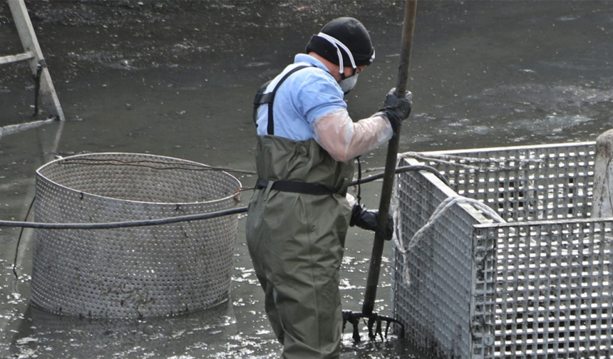 ESKİ'den Önemli Uyarı! Bu Hata Büyük Sorunlara Yol Açabiliyor!