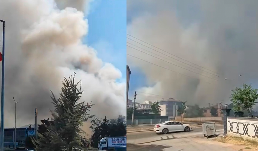 Eskişehir’de Bir Yangın Daha! Alevler Çevre Yoluna Dayandı