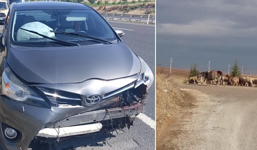 Eskişehir'de Aniden Yola Fırlayan Koyun Faciaya Yol Açtı!