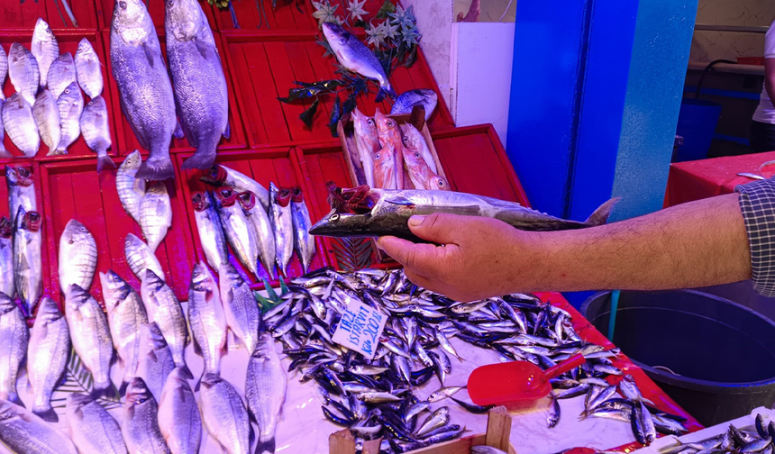 Eskişehir’de Balık Sezonu Bereketli Başladı! Kilosu 150 Liraya Kadar Düştü!