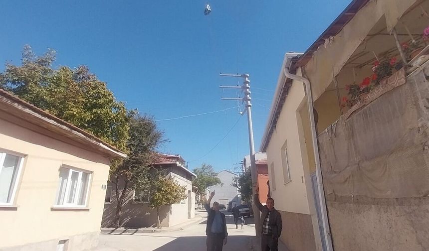 Eskişehir'de Elektrik Tellerinde Çözülemeyen 5 Yıllık Bot Gizemi!