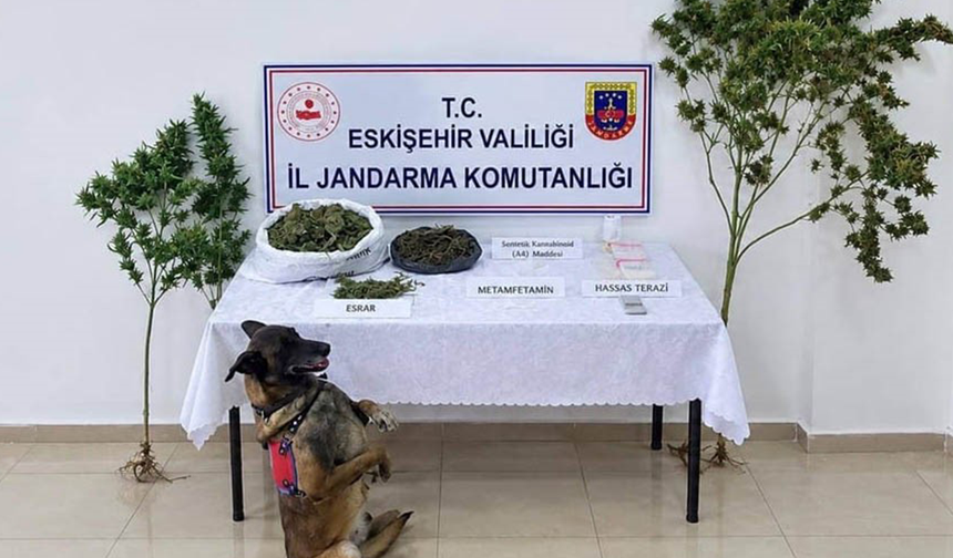 Eskişehir’de Evden Çıkanlar Pes Dedirtti! Jandarmadan Kritik Operasyon!
