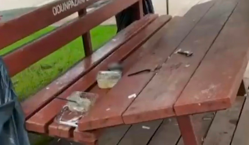 Eskişehir’de Vandalların Hedefi Olan Parkta İçler Acısı Manzara!