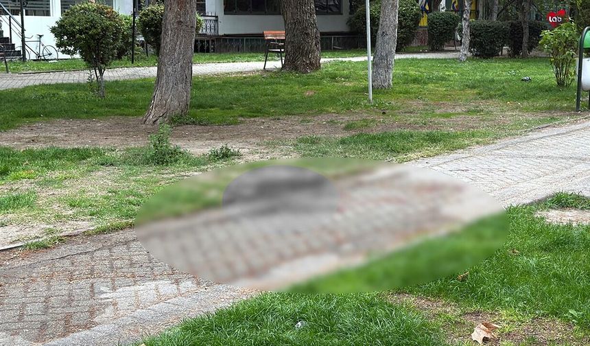 Eskişehir'deki Bıçaklı Kavgada Yaralanan Şahıstan Acı Haber!