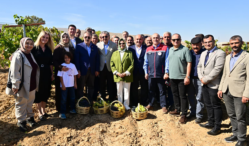 Eskişehir’in 820 Yıllık Selçuklu Köyünde Bağ Bozumu Heyecanı!