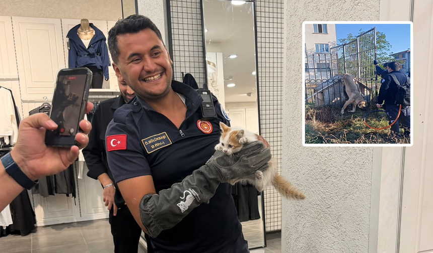 Eskişehir'de Minik Canların İmdadına İtfaiye Yetişti!