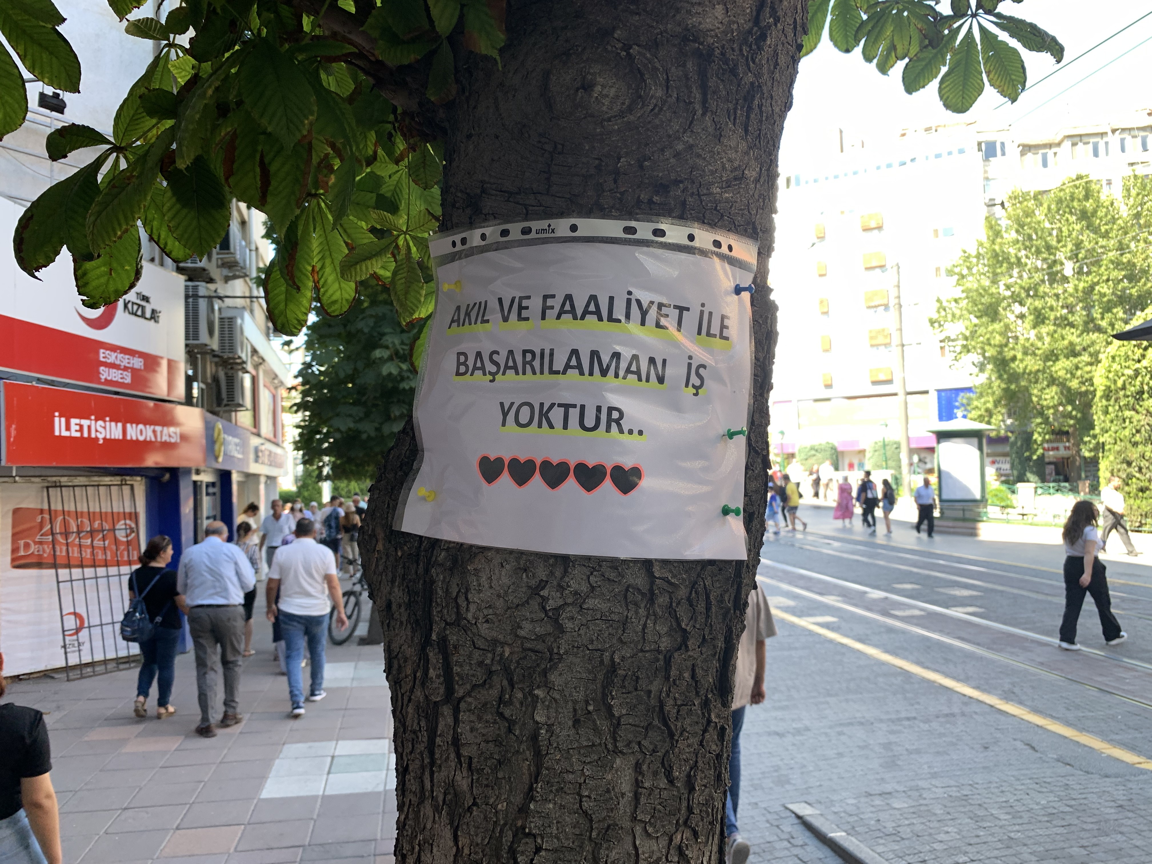 Eskişehir’de şehrin farklı bölgelerinde ağaçlara asılan notlara yazılan motivasyon sözleriyle, her insanın kendine güvenmesi gerektiğine vurgu yapıldı.