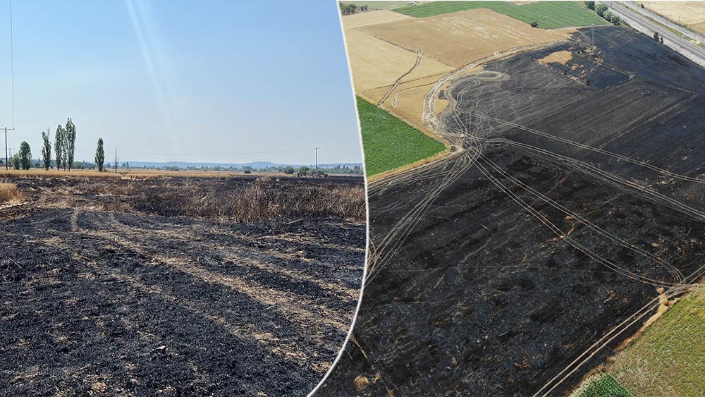 Eskişehir'de Çukurhisar Mahallesi’nde 60 dönüm hububat ekili tarım arazisinde yangın çıktı. Yangına elektrik tellerine çarpan bir atmaca kuşunun neden olduğu tespit edildi. 