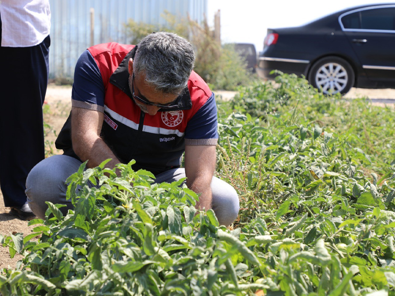 Eskişehir’de Tarımsal Üretimin Planlama Toplantısı