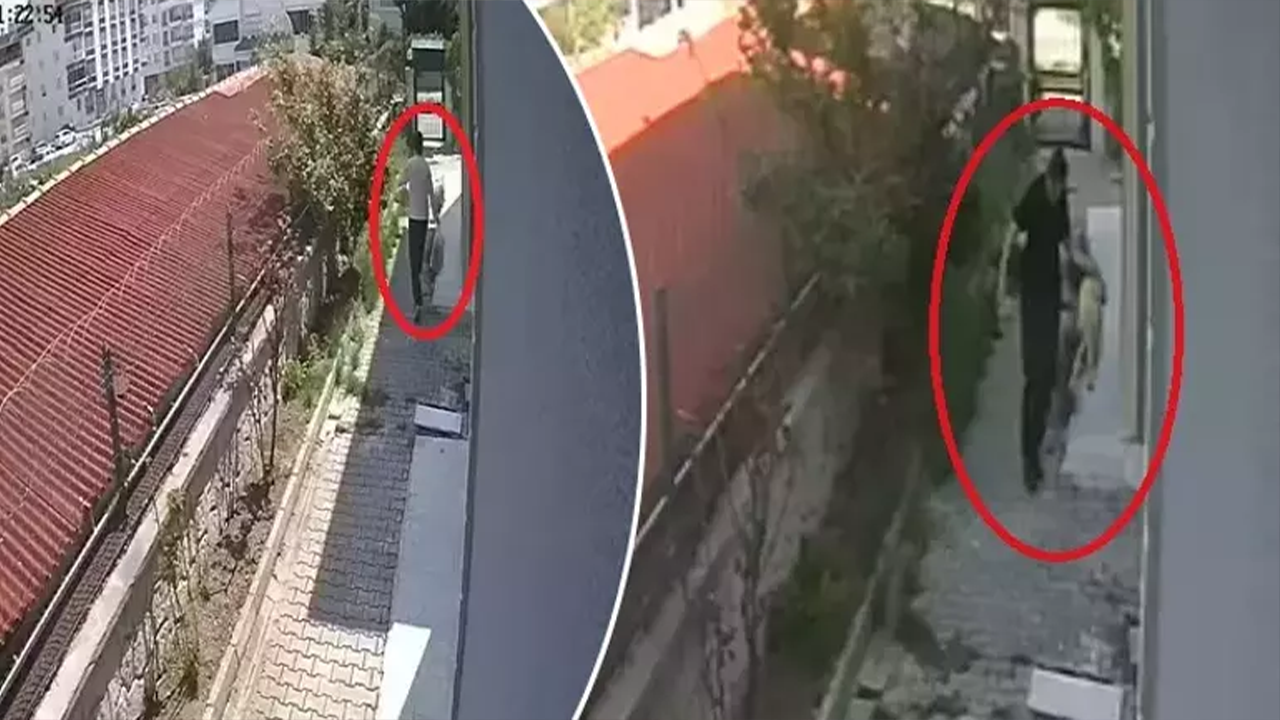Cani Doktor Tutuklandı