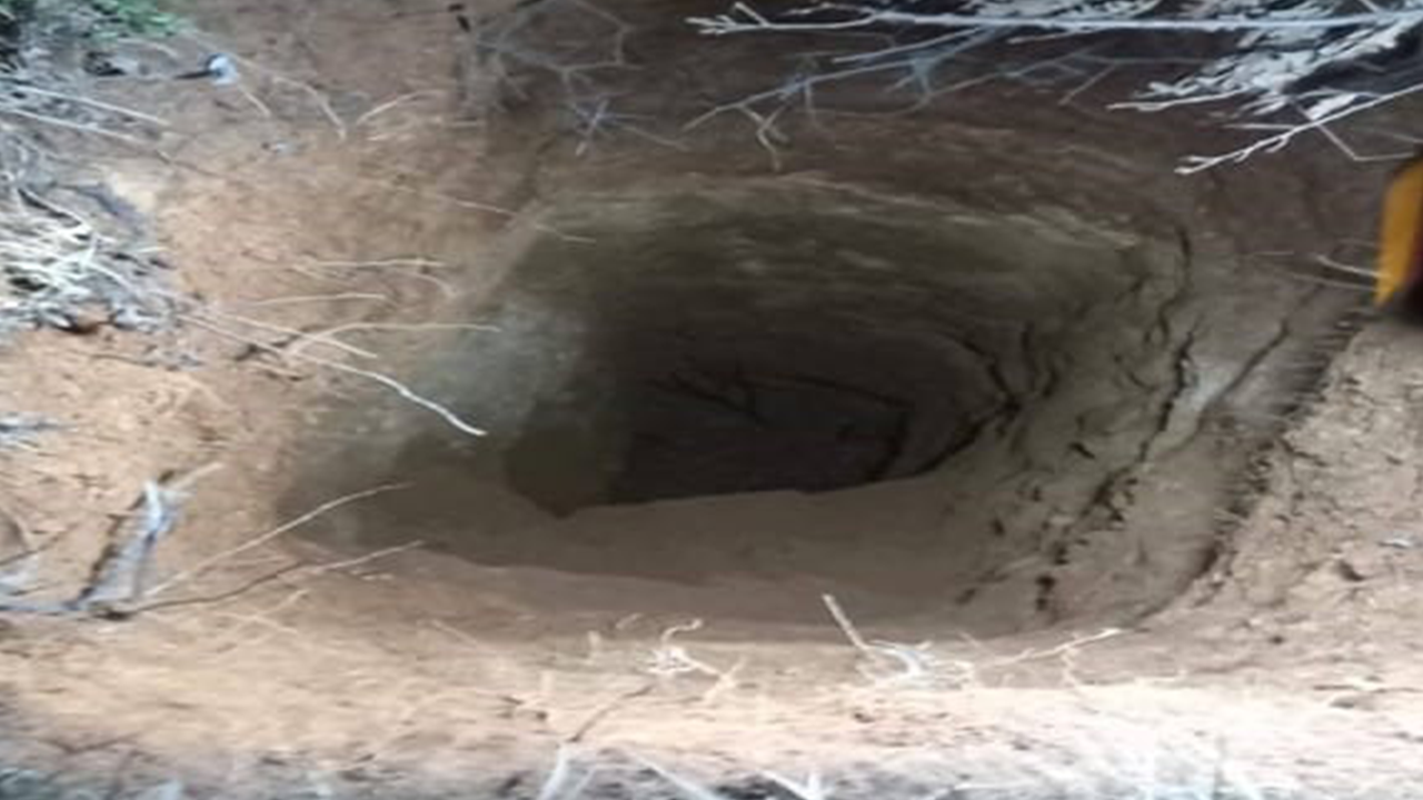 Kaçak Kazıya Baskın Jandarmadan Kaçamadılar!