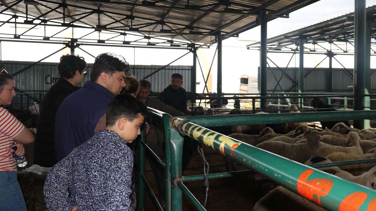 Eskişehir Kurbanlık Pazarı