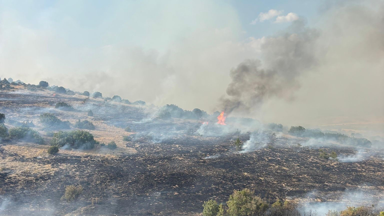 Eskişehir Beylikova Yangını