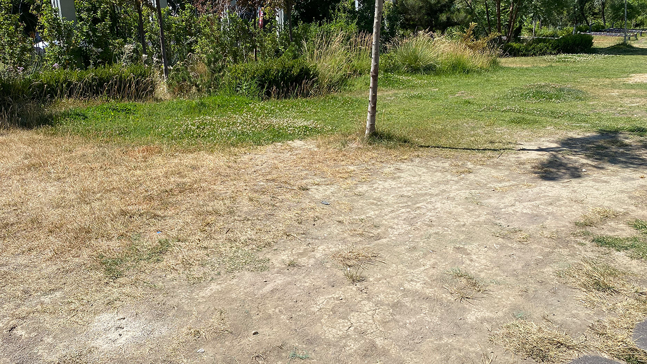 Eskişehir Millet Bahçesi Çim Alanlar