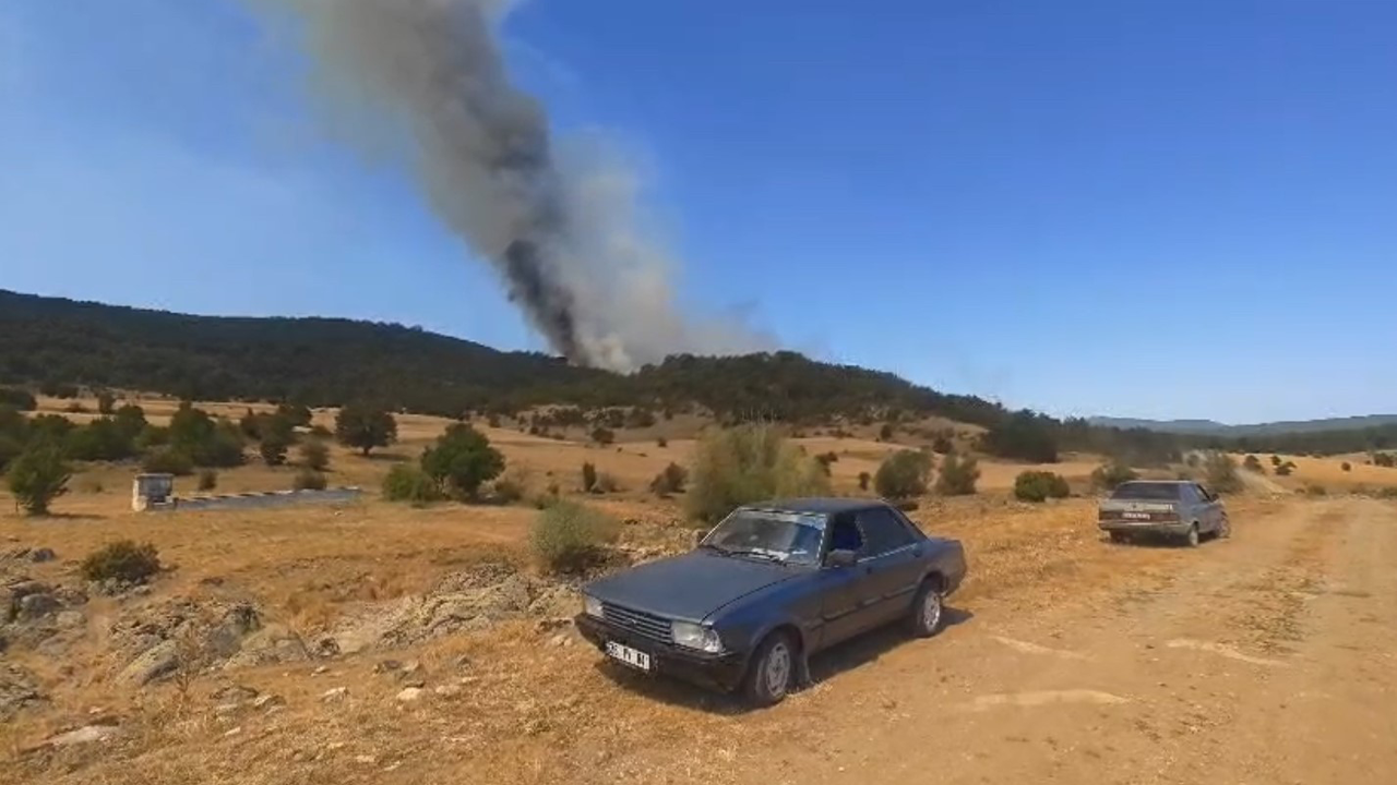 Eskişehir Orman Yangını Bölgesi