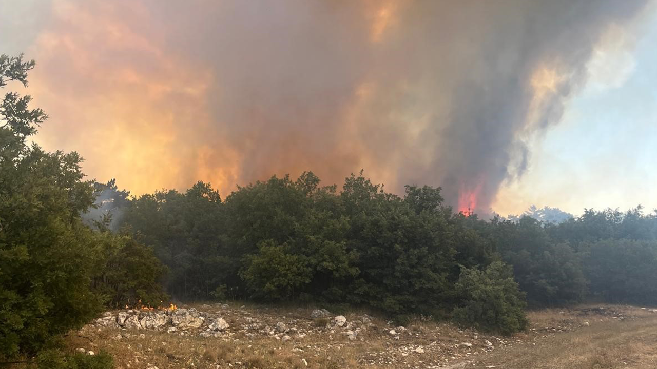 Eskişehir Seyitgazi Orman Yangını