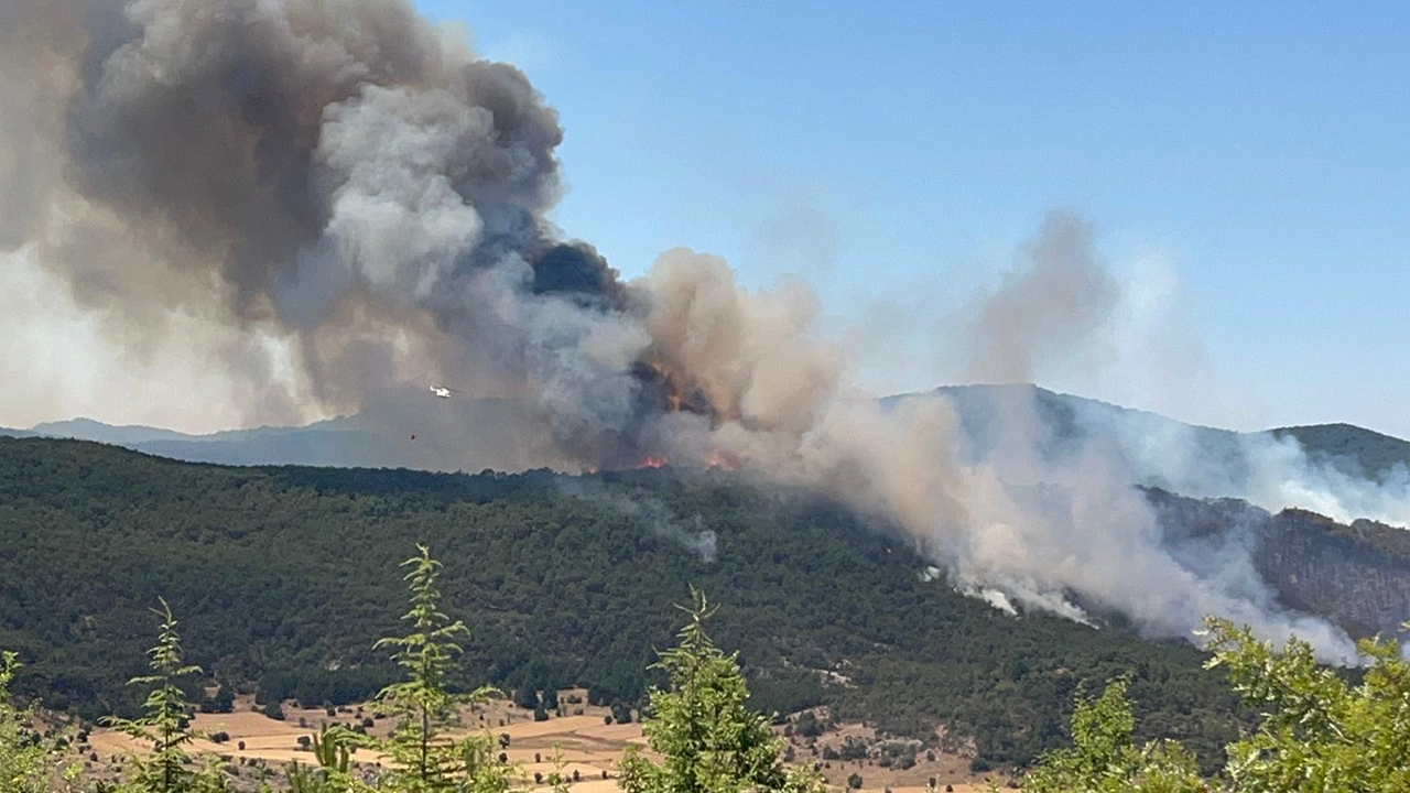 Eskişehir Seyitgazi'de Orman Yangını