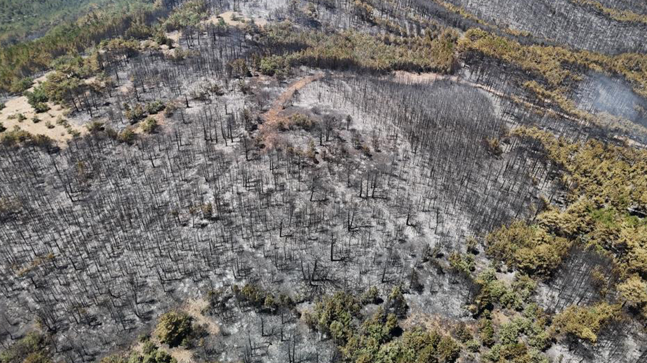 Eskişehir Yangınında Küle Dönen Bölge