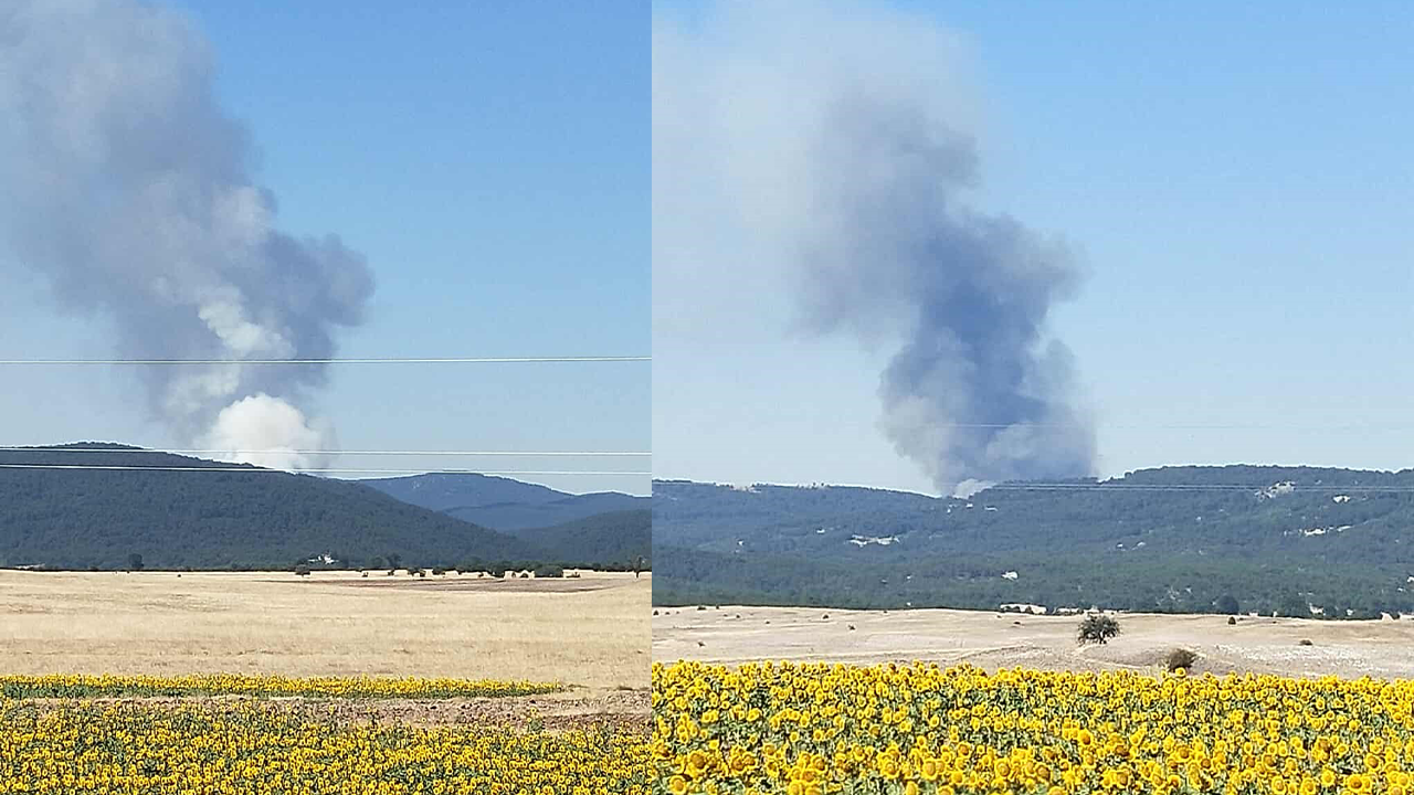 Eskişehirde Orman Yangını