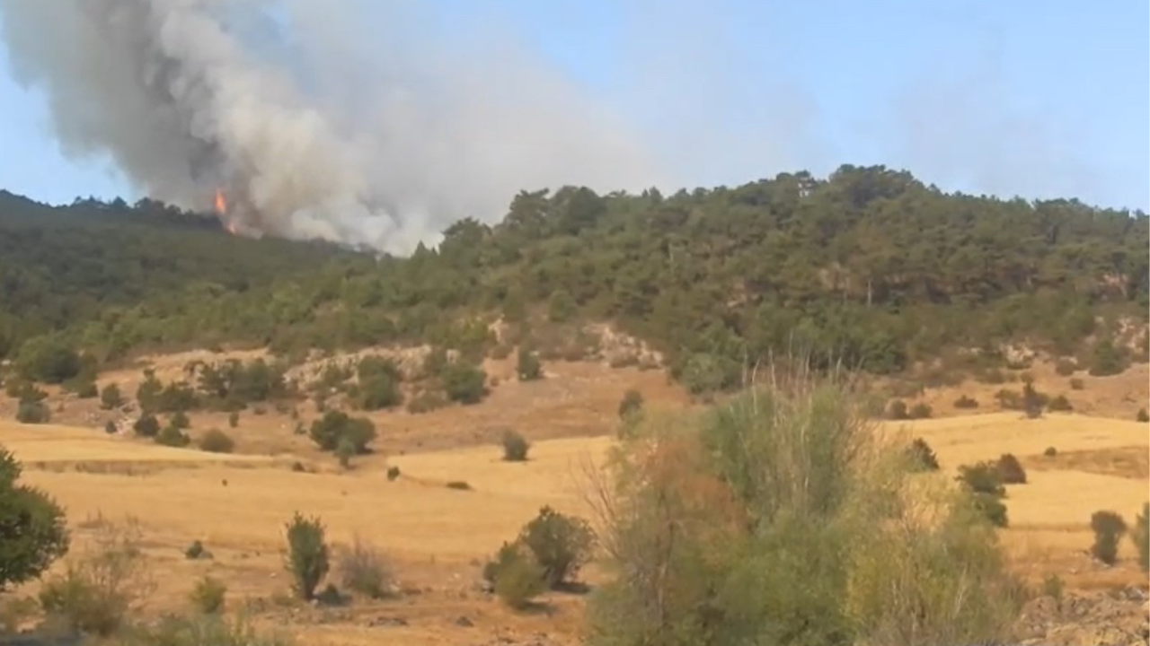 Eskişehirde Ormanlık Alanda Yangın