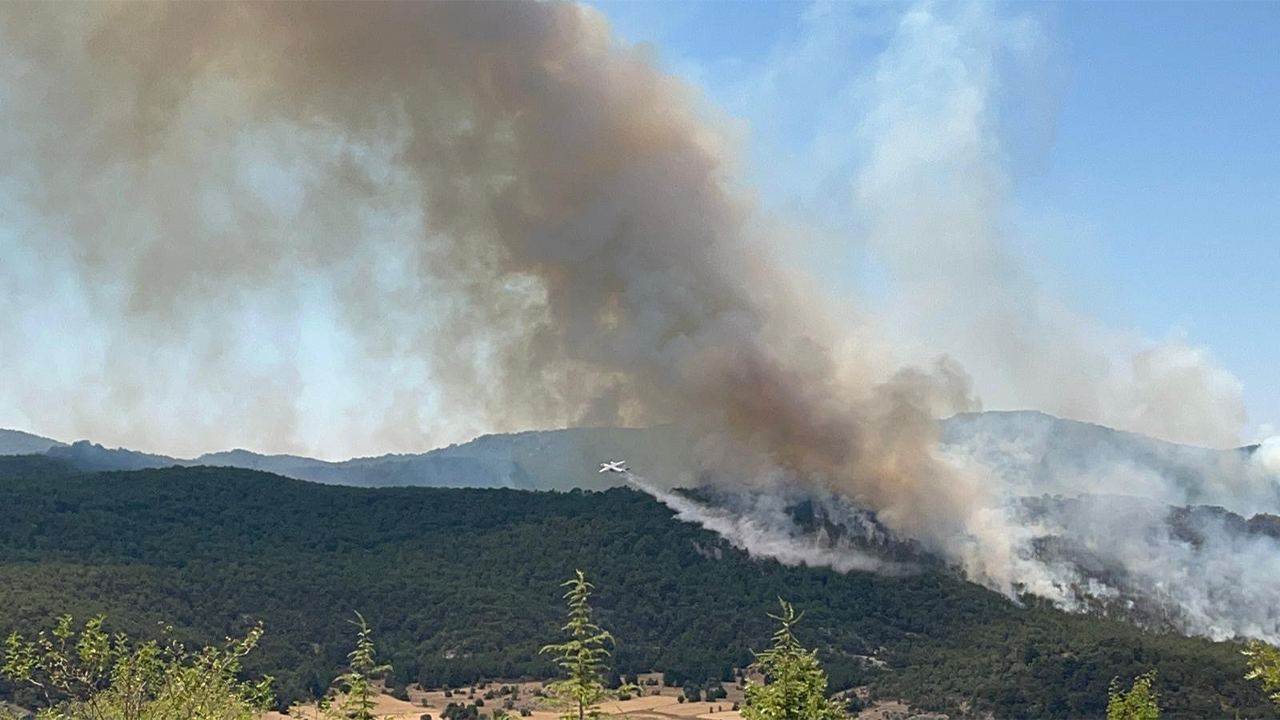 Eskişehirdeki Yangına Uçakla Müdahale Anı