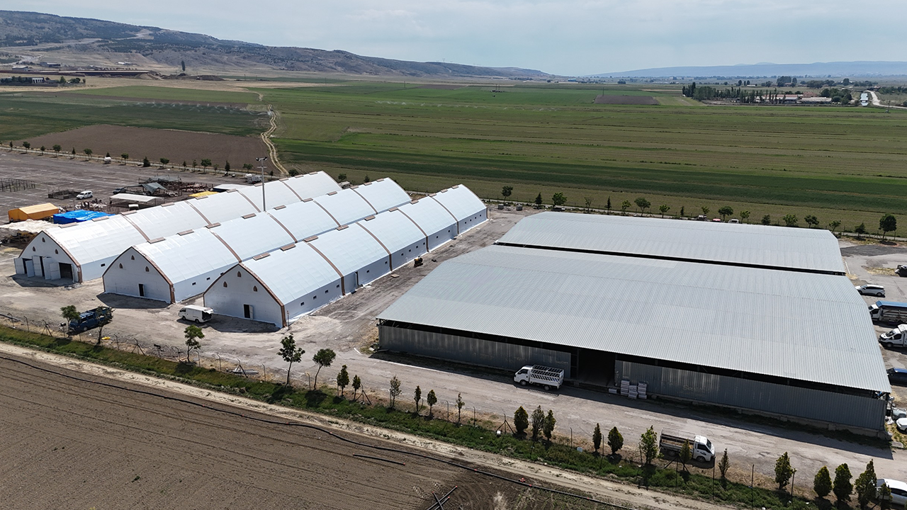 Hayvan Pazarı Eskişehir-1