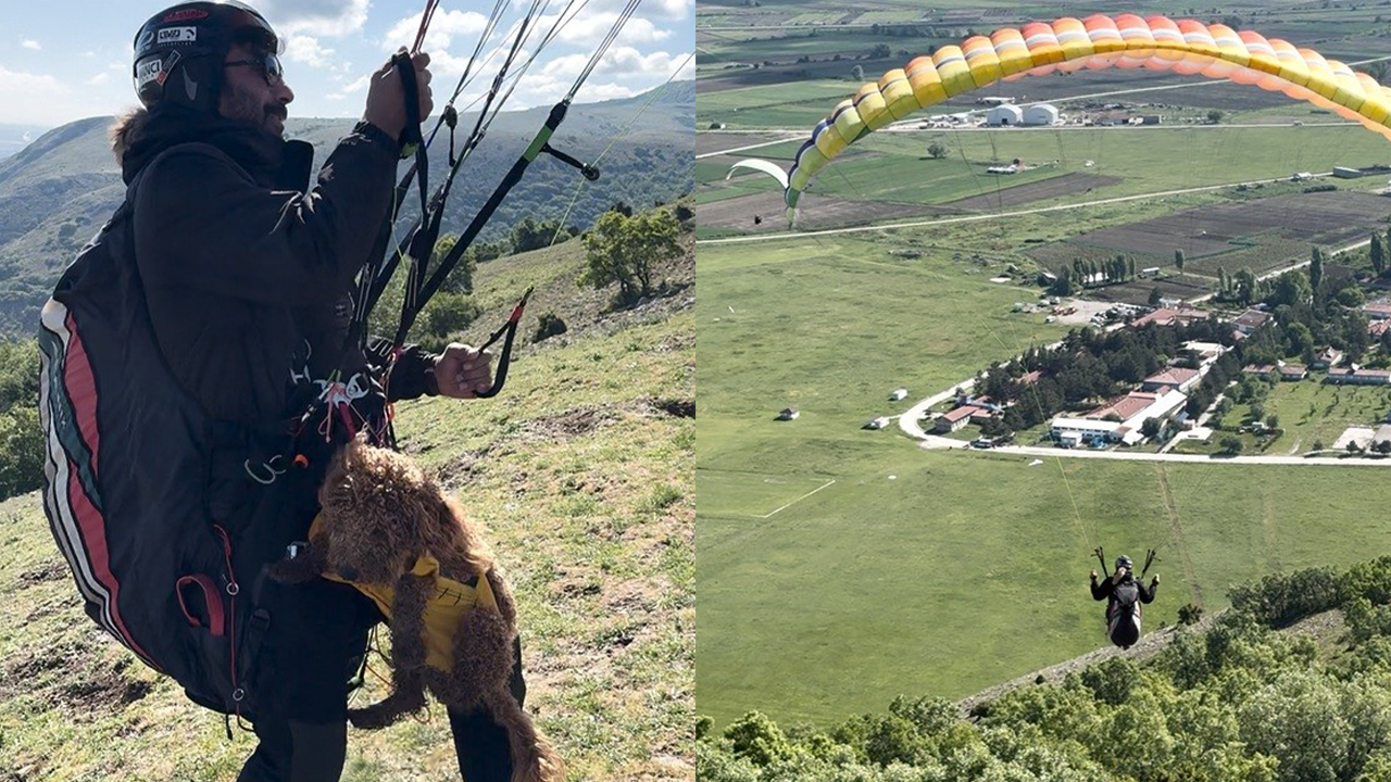 Köpek Toby Uçuş Deneyimi