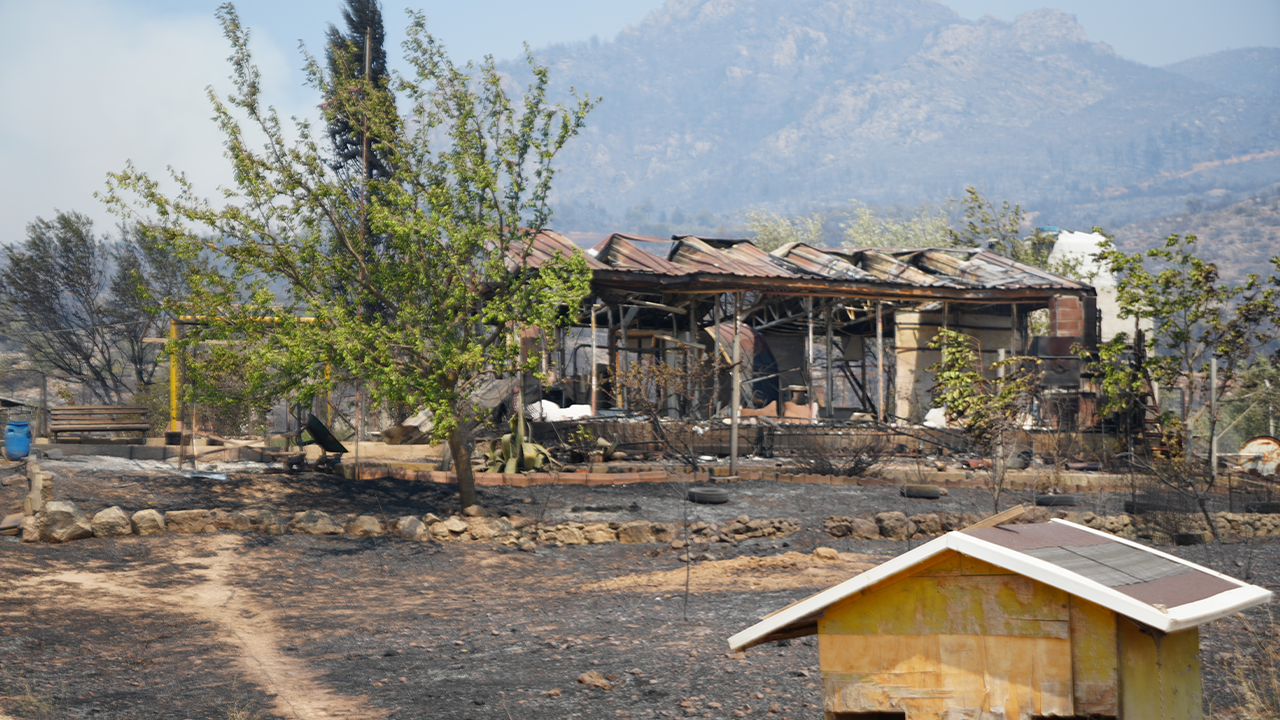 Orman Yangınında Hasar Gören Alanlar