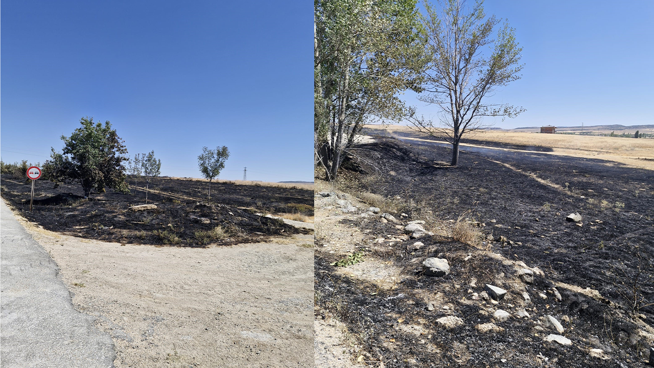 Yangında Zarar Gören Alan