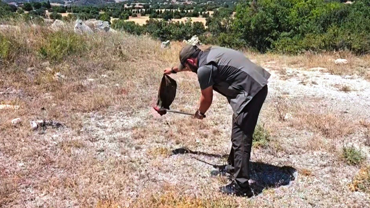 Yılan Doğaya Bırakıldı
