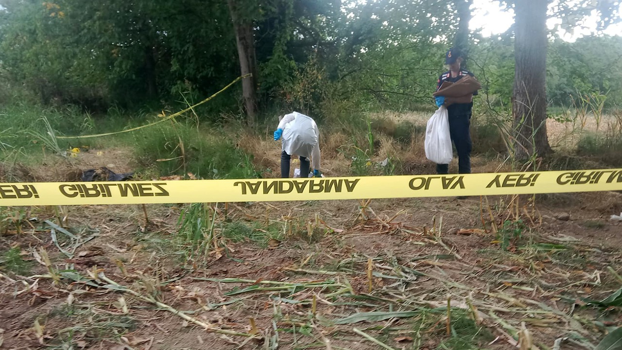 Kafatası Ve Kemikler Bulundu