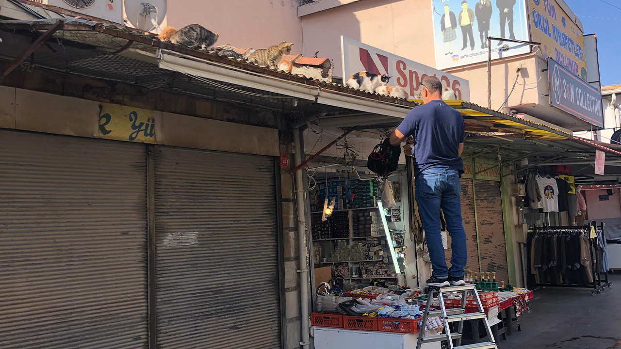 Kediler Için Her Gün Merdivenle Çatıya Çıkıyor