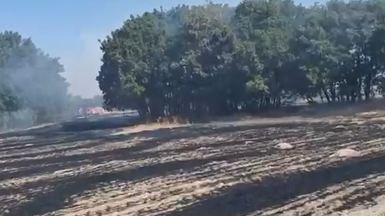 Seyitgazide Yangın Ormanlık Alana Ulaşmadan Söndürüldü