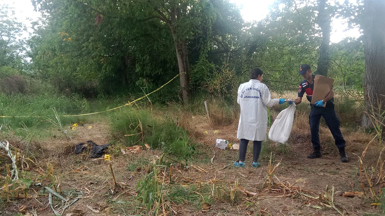 Tarlada Kafatası Ve Kemikler Bulundu