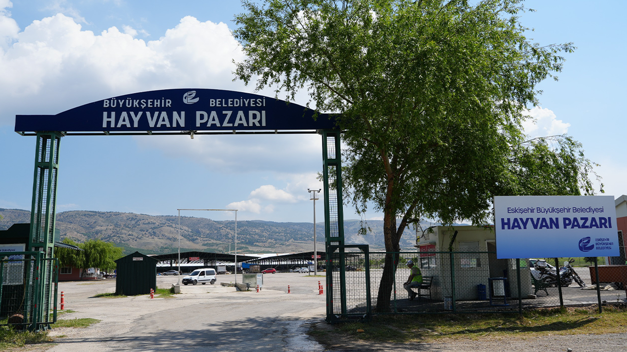 Eskişehir Hayvan Pazarı Şap Nedeniyle Kapatıldı