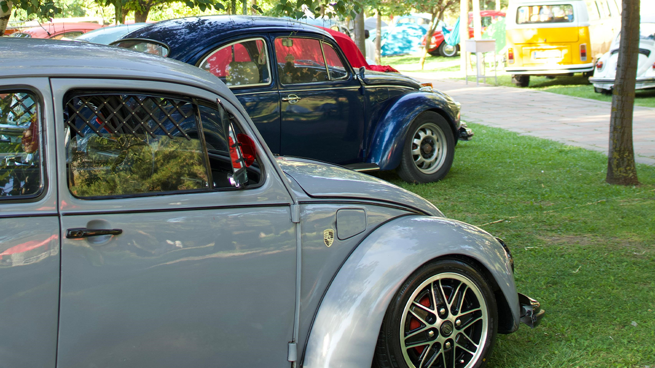 Etkinliğe Katılan Vosvos Araçlar