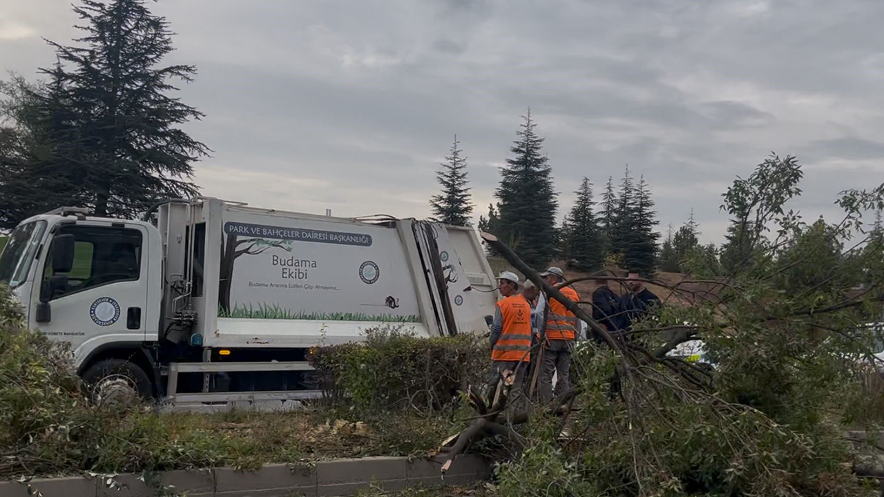 Kamyon Ağaçları Devirdi
