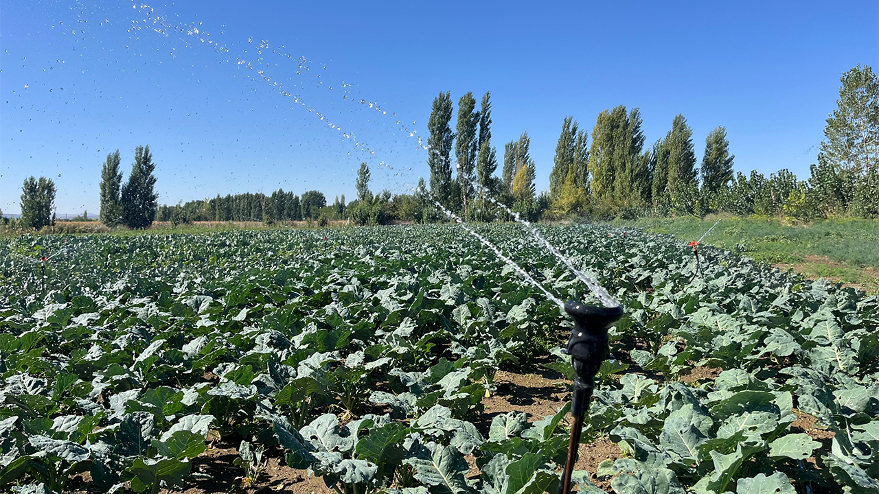 Sulama Sistemleri Çalışmaz Hale Geldi