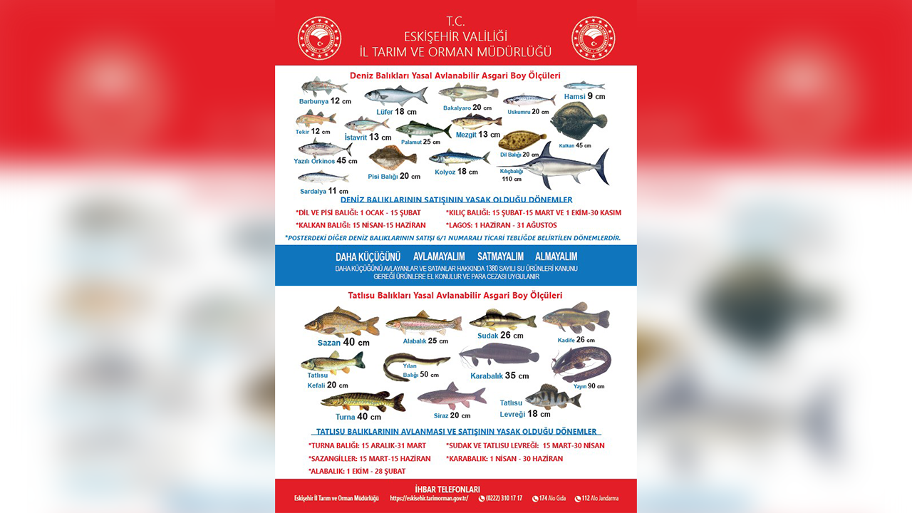Balıklarda Yasal Avlanabilir Boy Ölçüleri