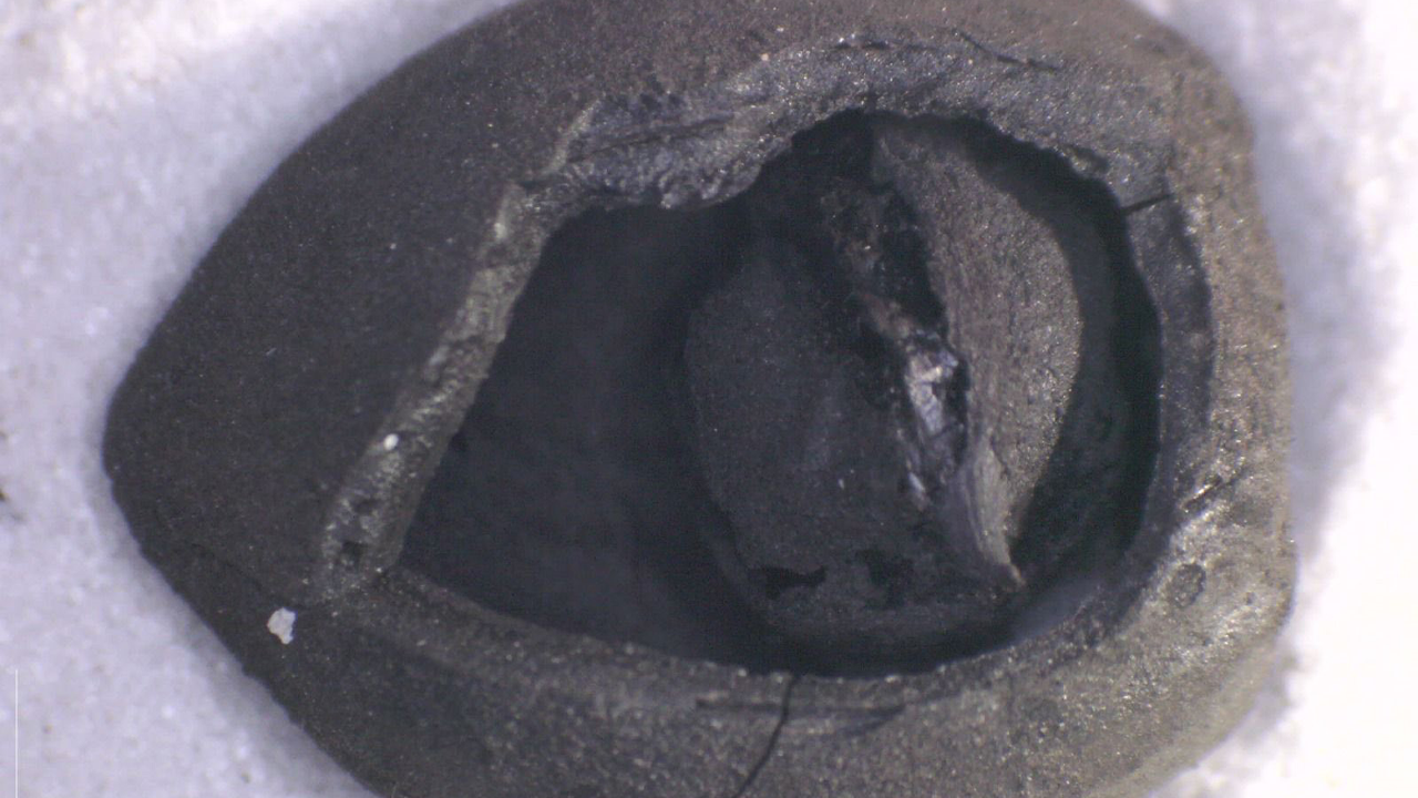 Bölgede Birçok Önemli Buluntu Ortaya Çıktı