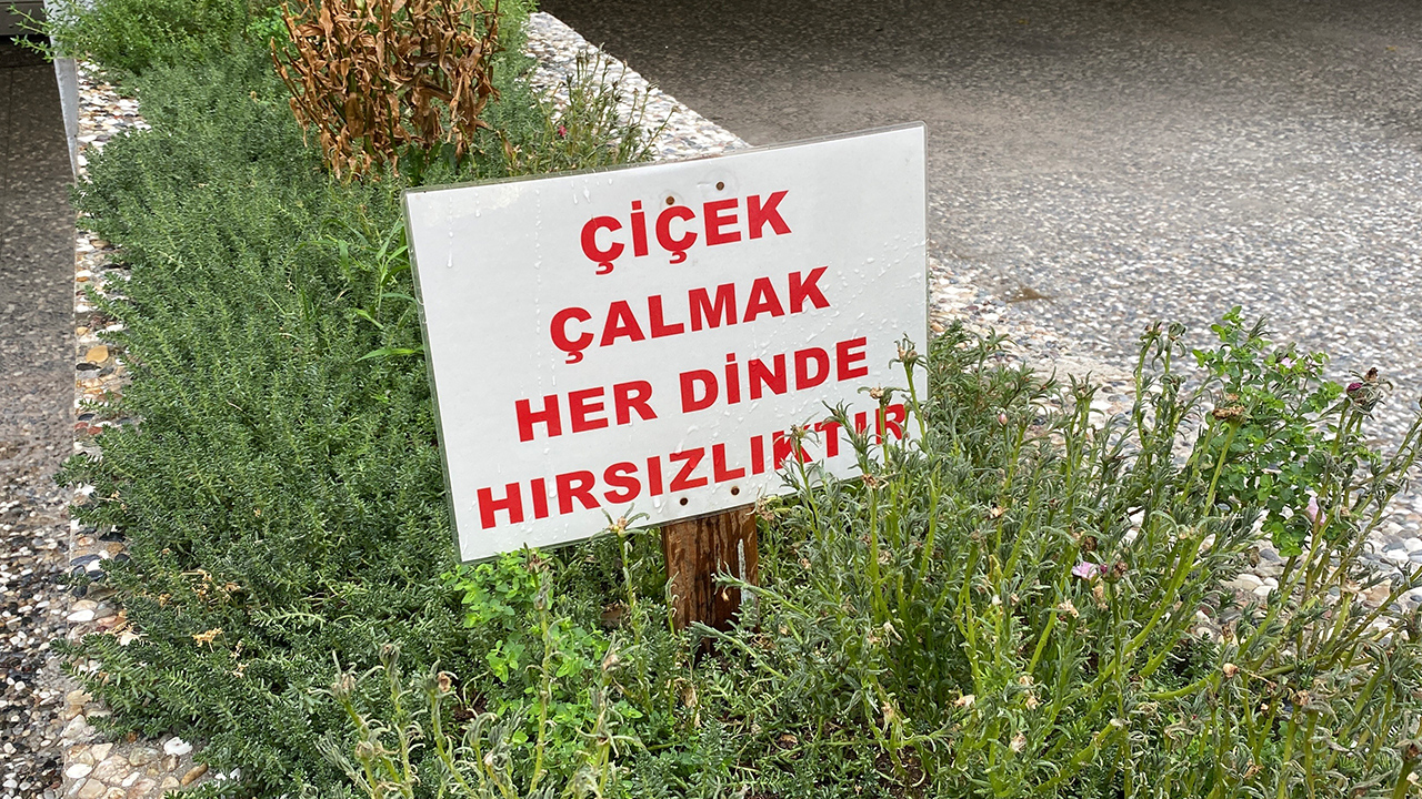 Çiçek Çalmak Her Dinde Hırsızlıktır
