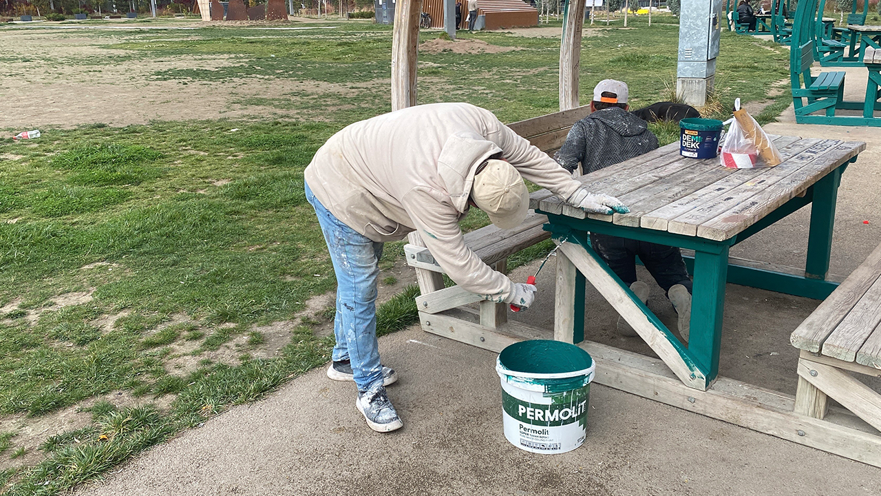 Eskişehir Millet Bahçesi'nde Kamelyalar Yenileniyor