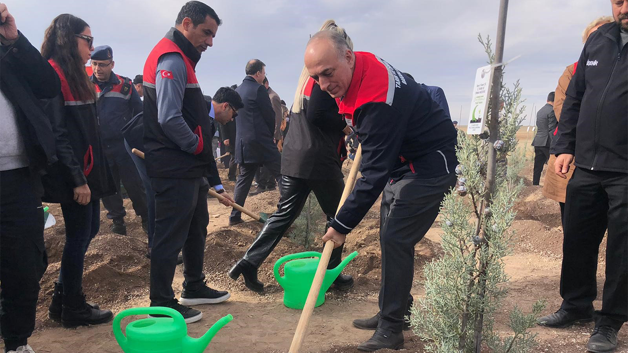 11 Kasım Milli Ağaçlandırma Günü'nde Fidanlar Dikildi