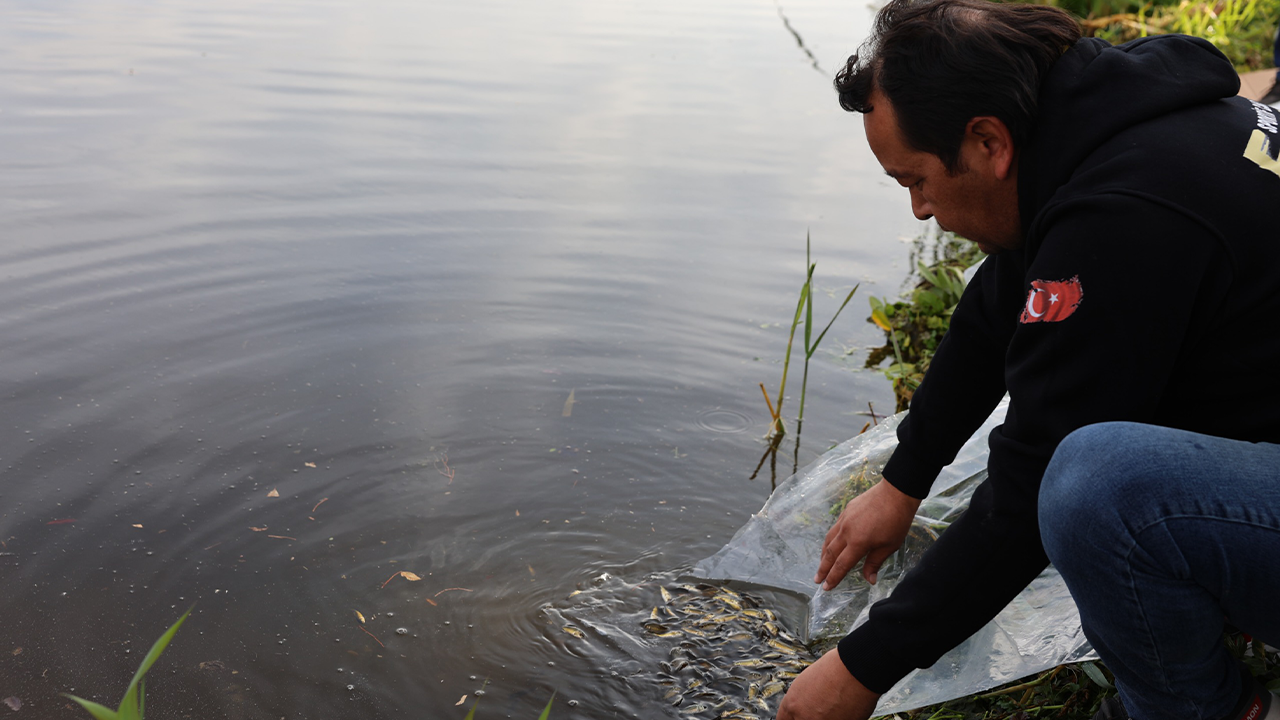 5 Bin Aynalı Sazan Doğaya Salındı