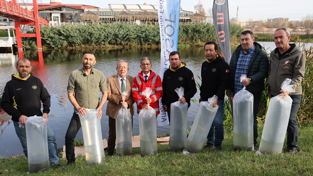 Balıklar Doğal Yaşam Alanına Bırakıldı